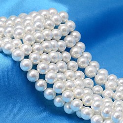 AB Color Plated Shell Pearl Round Bead Strands, White, 8mm, Hole: 0.8~1mm, about 46pcs/strand, 15.74 inch(BSHE-L011-8mm-C001)