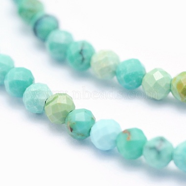 Natural Turquoise Beads Strands(G-O166-17-2mm)-3
