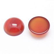 Natural Carnelian Cabochons, Half Round/Dome, 12x5mm(G-P215-15-12mm)