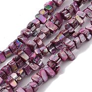Natural Freshwater Shell Beads Strands, Dyed, AB Color, Nugget, Old Rose, 7~17.5x5~5.5x6~8.5mm, Hole: 1.2mm, about 72~73pcs/strand, 15.35''(39cm)(BSHE-H018-07F)