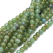 Natural Apatite Beads Strands, Round, 6mm, Hole: 0.7mm, about 74pcs/strand, 15.55 inch(39.5cm)(G-F674-02-6mm)