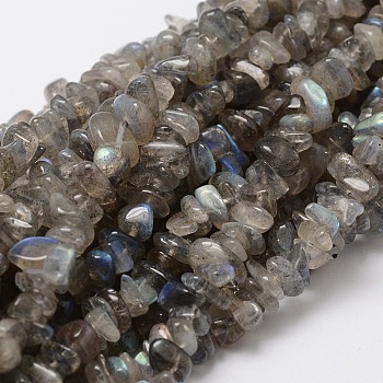 Natural Labradorite Chip Bead Strands, 5~8x5~8mm, Hole: 1mm, about 16 inch