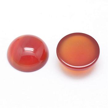 Natural Carnelian Cabochons, Half Round/Dome, 12x5mm