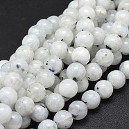 Natural Moonstone Beads Strands, Round, 8mm, Hole: 1mm, about 48pcs/strand, 15.5 inch(39.5cm)(G-I249-B04-02)