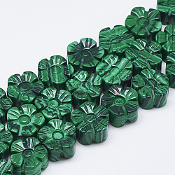 Carved Synthetic Malachite Beads Strands, Plum Blossom, 13~14x13~14x7~8mm, Hole: 1mm, about 16pcs/strand, 8.2 inch~8.6 inch(G-T122-08H)