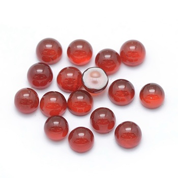 Natural Carnelian Cabochons, Half Round, 12x5~6mm