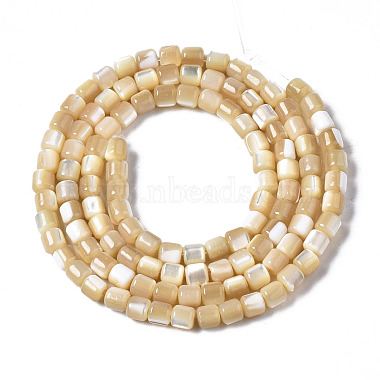 Natural Trochid Shell/Trochus Shell Beads Strands(SSHEL-N034-77-B01)-2