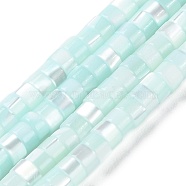 Natural Trochus Shell Dyed Beads Strands, Flat Round/Disc, Heishi Beads, Light Cyan, 4x2.5mm, Hole: 1mm, about 155~157pcs/strand, 15.67~15.87''(39.8~40.3cm)(BSHE-E030-10B)