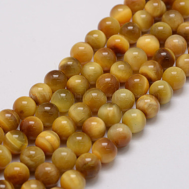 Gold Round Tiger Eye Beads