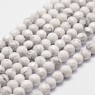 Natural Howlite Beads Strands, Faceted, Round, 4mm, Hole: 1mm, about 96pcs/strand, 14.9 inch~15.1 inch(G-D840-44-4mm)