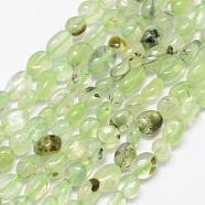 Natural Prehnite Beads Strands, Tumbled Stone, Nuggets, 6~8x4~6mm, Hole: 1mm, 15.3 inch(39cm)(G-F521-29)