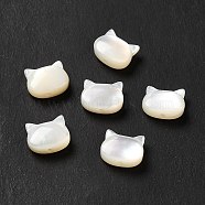 Natural White Shell Beads, Cat, White, 6x7x3mm, Hole: 0.8mm(SHEL-G014-10B-01)