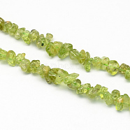 Natural Peridot Stone Bead Strands, Chip, 3~9x3~9x2~4mm, Hole: 1mm, about 112pcs/strand, 15.75 inch(40cm)(X-G-R224-02)