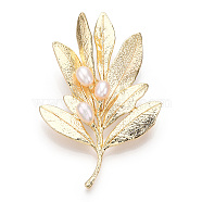 Natural Pearl Leaf Brooches for Women, Brass Pins, Real 14K Gold Plated, 63~65x50x14.5mm(JEWB-N001-11G)