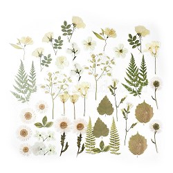 40Pcs Plant PET Adhesive Waterproof Stickers, Flower Leaf Decals, for DIY Photo Album Diary Scrapbook Decoration, Olive Drab, 35~119x37~69x0.1mm(DIY-K074-02B)