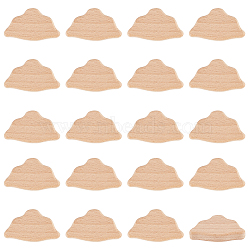 Olycraft 1 Set Unfinished Wooden Chips, Cloud, 54x33x10mm, 20pcs/set(WOOD-OC0003-98C)