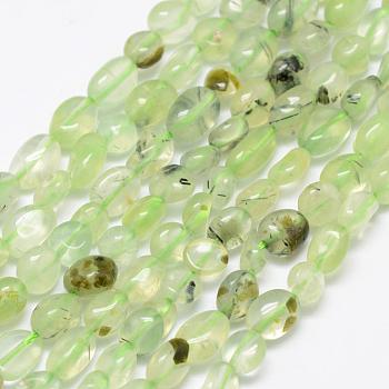 Natural Prehnite Beads Strands, Tumbled Stone, Nuggets, 6~8x4~6mm, Hole: 1mm, 15.3 inch(39cm)