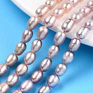 Natural Cultured Freshwater Pearl Beads Strands, Rice, Thistle, 6.5~8.5x5.5~6mm, Hole: 0.7~0.8mm, about 43~47pcs/strand, 13.58 inch(34.5cm)(PEAR-N012-05R)