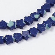 Synthetical Chrysocolla Star Bead Strands, Dyed, 4x2mm, Hole: 1mm, about 103pcs/strand, 15.3 inch(G-M201-05-4mm)