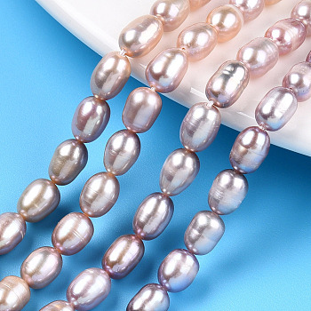 Natural Cultured Freshwater Pearl Beads Strands, Rice, Thistle, 6.5~8.5x5.5~6mm, Hole: 0.7~0.8mm, about 43~47pcs/strand, 13.58 inch(34.5cm)
