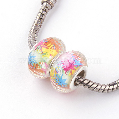 Resin European Beads(RPDL-S010-M)-2