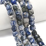 Natural Blue Spot Jasper Beads Strands, Faceted Table Cut Cube, 8.5~9.8x8.5~9.8x8.5~9.8mm, Hole: 0.8~1.2mm, about 45~46pcs/strand, 14.96~15.47 inch(38~39.3cm)(G-C267-A20)