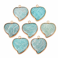 Natural Amazonite Pendants, with Light Gold Plated Brass Findings, Faceted, Heart, 29~29.5x26~26.5x6mm, Hole: 2mm(G-N326-124C)