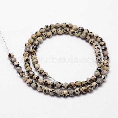 Chapelets de perles en jaspe dalmatien naturelle(G-D840-49-4mm)-2