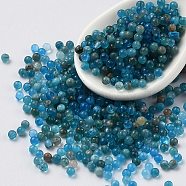 Natural Apatite Beads, No Hole, Round, 1.8~2mm(G-Z016-06)