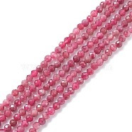 Natural Red Tourmaline Beads Strands, Faceted, Round, Grade AAA, 2.5x2mm, Hole: 0.6mm, about 170pcs/strand, 15.35 inch(39cm)(X-G-A021-01A)