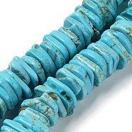Natural Howlite Chip Beads, Dyed, Nuggets, Turquoise, 11~31x10~25x1~5mm, Hole: 0.6mm, about 140pcs/strand, 17.32 inch(44cm)(TURQ-L031-010-A)