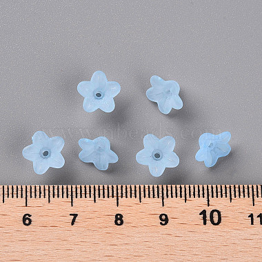 Transparent Acrylic Beads(X-PL554-12)-5