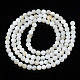 Natural Freshwater Shell Beads Strands(BSHE-T009A-01A)-3