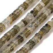 Natural Labradorite Beads Strands, Square, 3x3x1.5mm, Hole: 1mm, about 240pcs/strand, 16.14 inch(41cm)(G-N342-85)