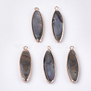 Electroplate Freshwater Shell Pendants, with Half Hole, Dyed, Oval, Coffee, 32~33x10x4~5mm, Hole: 1.8mm, Half Hole: 0.8~1mm(SHEL-S274-88)