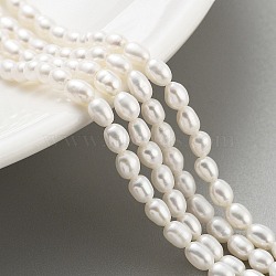 Natural Cultured Freshwater Pearl Beads Strands, Rice, Grade 5A, Snow, 3~3.5mm, Hole: 0.5mm, about 42pcs/strand, 7.09''(18cm)(PEAR-P062-03B)