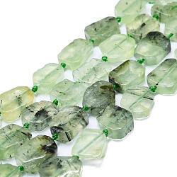 Natural Prehnite Beads Strands, Rectangle, 15~17x10~13x5~6mm, Hole: 1mm, about 22pcs/strand, 15.94''(40.5cm)(G-K245-J13-01)