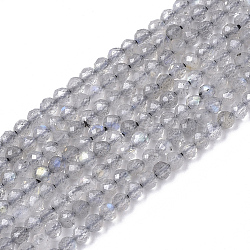 Natural Labradorite Beads Strands, Faceted, Round, 2mm, Hole: 0.4mm, about 182~183pcs/strand, 15.55 inch(39.5cm)(G-S361-2mm-010)