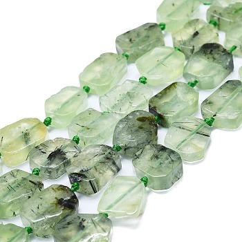 Natural Prehnite Beads Strands, Rectangle, 15~17x10~13x5~6mm, Hole: 1mm, about 22pcs/strand, 15.94''(40.5cm)