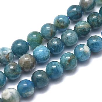 Natural Apatite Beads Strands, Round, 12mm, Hole: 1mm, about 32pcs/strand, 15.5 inch(39.5cm)