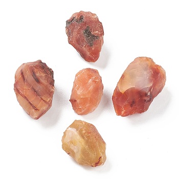 Rough Raw Natural Carnelian Beads, for Tumbling, Decoration, Polishing, Wire Wrapping, Wicca & Reiki Crystal Healing, No Hole/Undrilled, Nuggets, 29~40x18~24x21~23mm