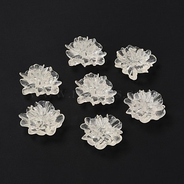 Transparent Resin Cabochons(RESI-G027-01A)-2