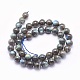 Natural Labradorite Beads Strands(G-O166-08-10mm)-2