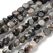 Natural Black Netstone Beads Strands, Nuggets, Tumbled Stone, 7~13x4.5~10x4.5~10mm, Hole: 1.2mm, about 44~46pcs/strand, 15.08~16.14 inch(38.3~41cm)(G-P497-01E-73)