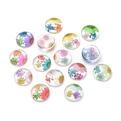 Inner Dry Flower Glass Gabochons, Half Round/Dome, Mixed Color, 29.5~30x8mm(X-GGLA-T002-30mm-01)