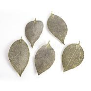 Electroplated Natural Leaf Big Pendants, with Iron Findings, Antique Bronze Plated, 55~85x25~40x1mm, Hole: 3x6mm(IFIN-Q119-02F)