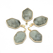 Natural Labradorite Pendants, with Brass Findings, Faceted, Nuggets, Golden, 36x22x7mm, Hole: 4.5x8mm(G-Q494-33G)