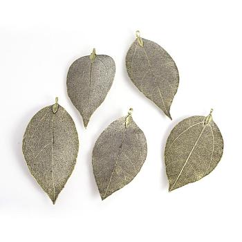 Electroplated Natural Leaf Big Pendants, with Iron Findings, Antique Bronze Plated, 55~85x25~40x1mm, Hole: 3x6mm