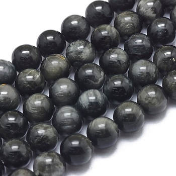 Natura Hawk's Eye Beads Strands, Eagle Eye Stone, Grade A, Round, 8mm, Hole: 1mm, about 51pcs/Strand, 15.75 inch(40 cm)