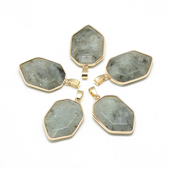 Natural Labradorite Pendants, with Brass Findings, Faceted, Nuggets, Golden, 36x22x7mm, Hole: 4.5x8mm